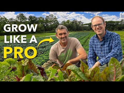 Gardening Masterclass: How a Gardening Pro Grows Veggies