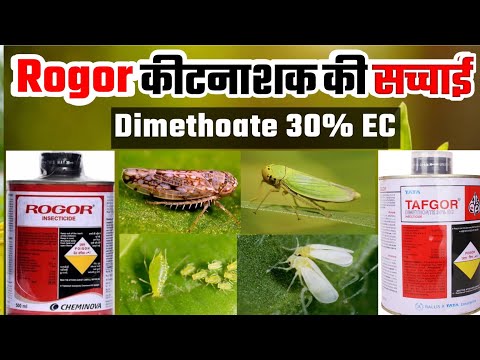 Rogor/Tafgor Insecticide Ki Ye Sacchai | रोगर/Tafgor कीटनाशक की यह सच्चाई आपको भी पता होनी चाहिए