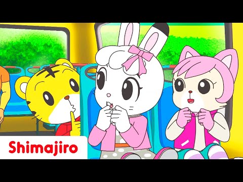 🚦🎶 Traffic Rules & Safety Fun! | 🚗 Learn Safe Practices with Shimajiro 🐯 | Songs for Kids 🎶