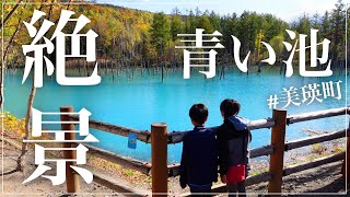 青い池はなぜ青い!?【絶景スポットの秘密】＠北海道美瑛町