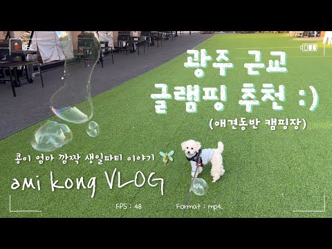 광주 근교 캠핑 | 강아지동반 캠핑장 | 글램핑장 추천 | 깜짝생일파티 | vlog | 생일파티장소추천 | 남평 글램핑 | 아미콩 일상 | 일상브이로그 | 반려견동반 | 추억