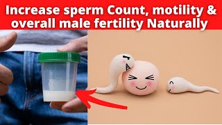 Foods to Increase Sperm Count and Quality naturally and Fast