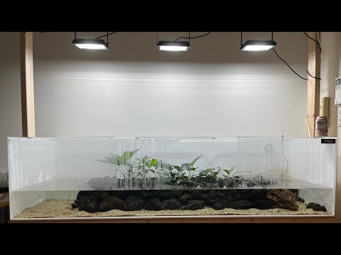 180cm水槽の現状