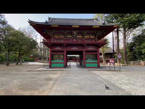 Nezu-Jinja Shrine, Bunkyo Tokyo.