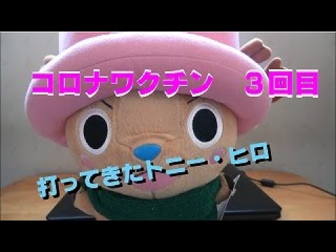 【ちょっとネタ】ワクチン3回目打ってきた話