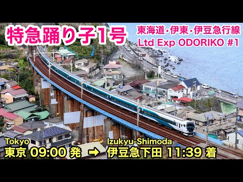 【車窓】踊り子１号 東京→伊豆急下田 夏•左斜側  東海道線 伊豆急See Japan by train “Ltd Express ODORIKO No.1 for Izukyu-Shimoda”