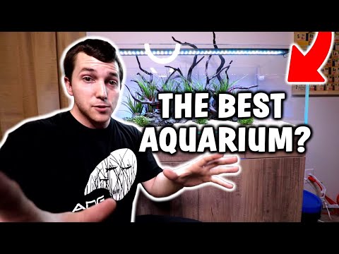 The BEST All-In-One Complete Aquarium Kit You Can Buy - Current Serene Aquarium Install