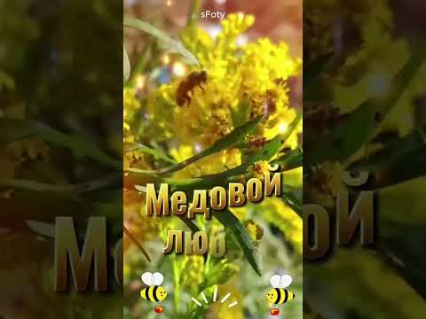 с Медовым Спасом!