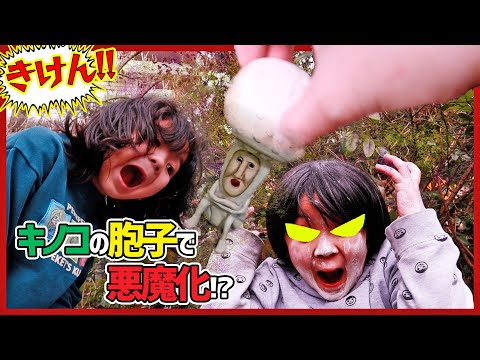 【こびとづかん】シロキノコビトの粉(こな)でたっちゃん大暴れ!!!