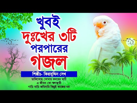 খুবই দুঃখের ৩টি পরপারের মরমী গজল | Top 3 Most Popular Emotional Gojol | বাংলা গজল | New Album Gojol