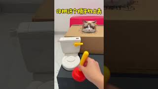 這玩具也太搞笑了吧，我家貓咪的迷惑行為！#cat #幽默 #funny #shorts