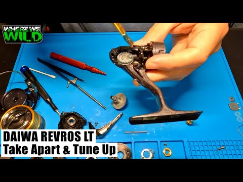 DAIWA REVROS LT 3000 - Take Apart & Tune Up