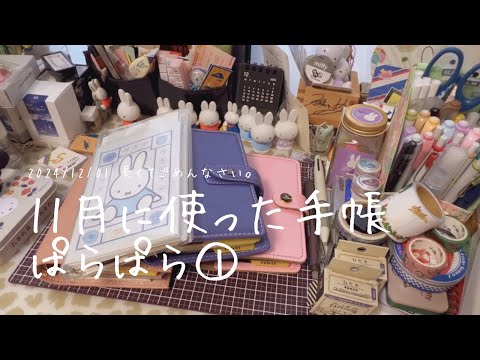 【システム手帳】11月に使った手帳パラパラその1【長尺動画です】