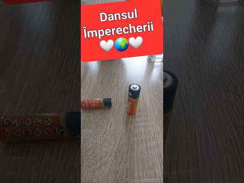 Dansul Împerecherii #shortsvideo #dancevideo #bateria #magic #trick #dailyvlog #imperial #catalinn♥️