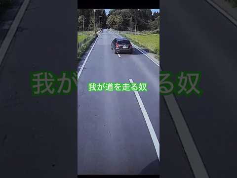 危険な追い越し　煽り　ドラレコ　#ドラレコ#煽り#危険運転