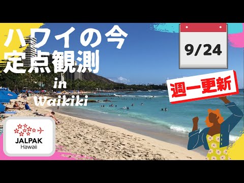 【ハワイの今】ワイキキ定点観測  2024年9月24日