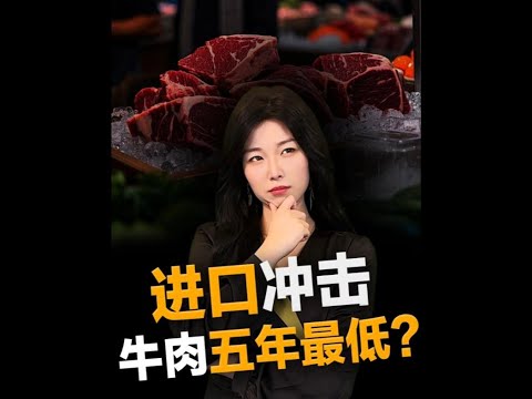 进口冲击，牛肉进入低价时代？#王大沁  #抖音知识年终大赏