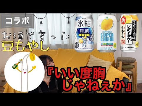 【本気】お酒好き美女が利きレモンチューハイに挑戦 #レモン酎ハイ