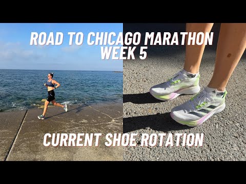 Road to Chicago Marathon 2024 - Week 5 of Training