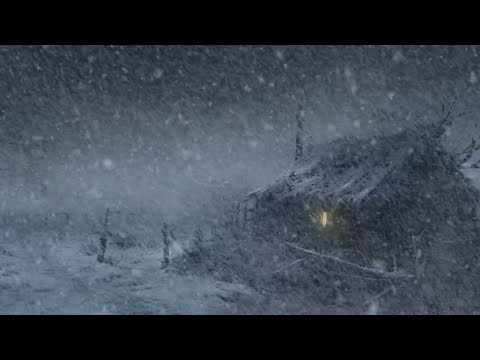 Snowstorm Sounds for Sleeping┇Gusty Blizzard & Wind Sound Effect┇Nature Sounds and Winter Ambience