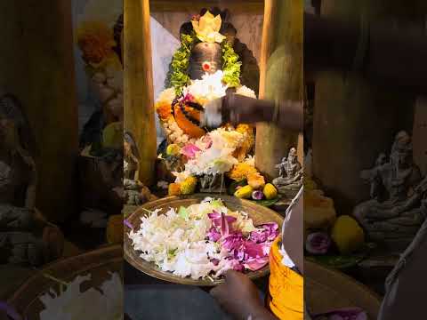 Lord Shiva Puja @ SDLMD, Srilanka #god #harharmahadev #lordshiva #shivshankar