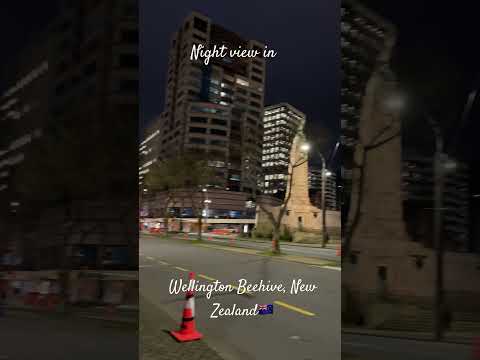 🇳🇿ニュージーランドの暮らし｜夜のウエリントン国会議事堂（ビーハイブ）｜Beehive Wellington, New Zealand #shorts #ニュージーランド #ウェリントン