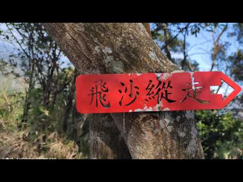 20210102長春國小飛鳳山中坑山大板根健走