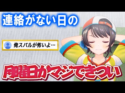 多忙の中、休み方があまりにも陽キャすぎる大空スバル【ホロライブ切り抜き】