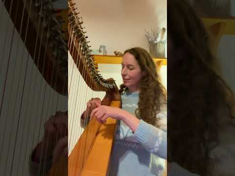 "Everywhere" by Nadia Birkenstock  #music #harp #calm