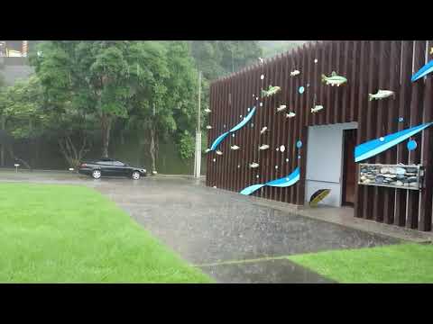 室外雨滂沱，小歇來避雨 ！