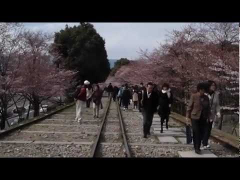 2012京阪賞櫻(3)--京都蹴上傾斜鐵道,溫帶國家之春