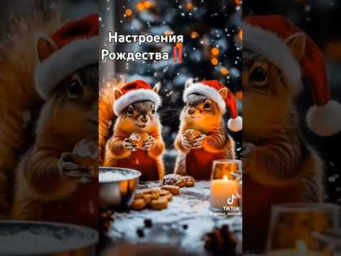 #С Рождеством❄️ #Настроения🎉#Волшебства🪄