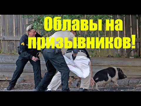 Облавы на призывников 2024. Призыв одним днем. Полиция. Как быть?