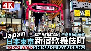 Japan／Tokyo Shinjuku Kabukicho Red-light district 日本東京新宿歌舞伎町一番街／Japan Travel & Food 世界級的紅燈區／Godzilla