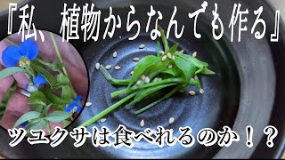 【野草・山菜】ツユクサを食べた正直感想連発！｜採取方法・料理法も紹介