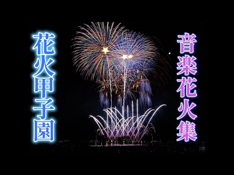 【花火甲子園2024】余興花火集　協賛花火＆Thanks花火も一緒に