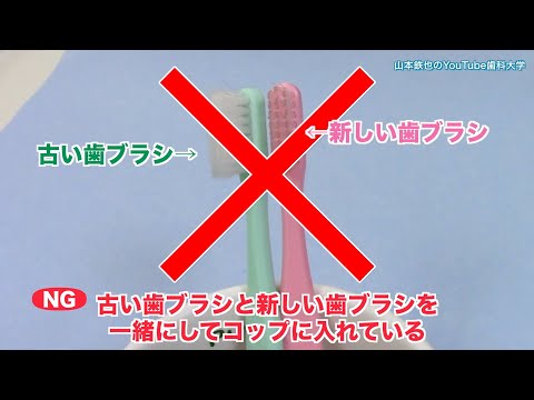 歯科衛生士は絶対しない!間違った歯ブラシの管理_富山県高岡市やまもと歯科