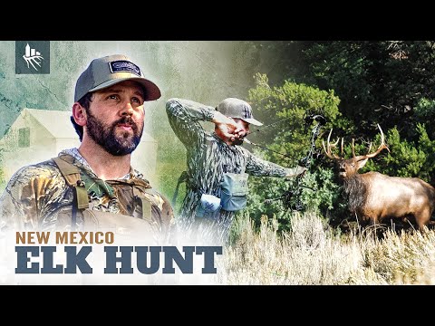 Camping & BOWHUNTING Public Land ELK | New Mexico