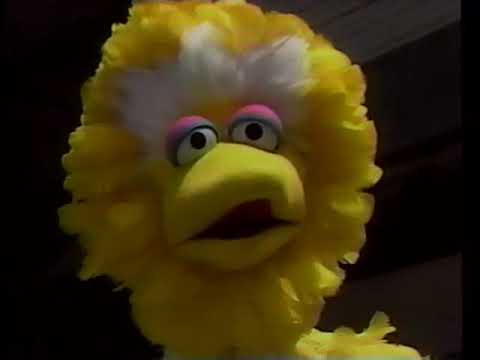 That time Big Bird thought Japanese people were from Ohio