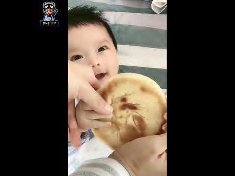 Funny animal feeding 2020 awesome moments