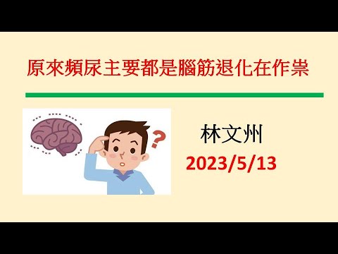 原來頻尿主要都是腦筋退化在作祟－林文州20230513