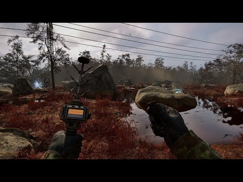 Red Forest artifact hunting in STALKER 2