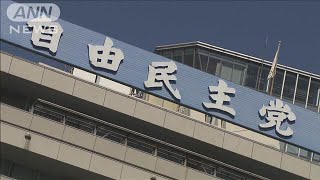 【速報】自民“裏金”問題にけじめ　「赤い羽根」に8億円寄付(2024年12月27日)