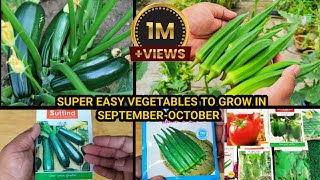 Super Easy Winter Vegetables To Grow In Pots सर्दियों में उगाइये ये असान सब्ज़ियाँ और फल गमले में