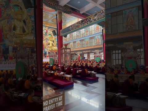 Coorg #tibetan #tibet #tibetanmusic #tibetanflutemusic #tibetansound #music #travel #roadtripsongs