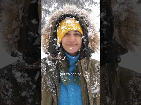 Snowfall in India! Sethan, Himachal Pradesh (it snowed on 31st Jan 2024)