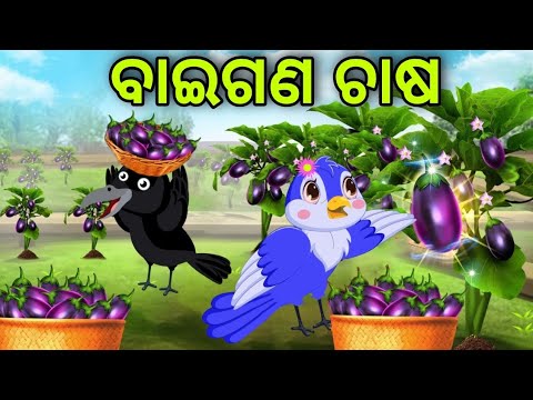 ଚଢ଼େଇର ବାଇଗଣ ଚାଷ | Chadheira Baigana Chasa | Tiki Chadhei | Odia Gapa | Chadhei Gapa