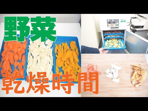 【野菜の乾燥時間】人参・さつまいも・かぼちゃを乾燥（プチミニⅡ）