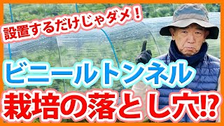 家庭菜園や農園の野菜栽培でビニールトンネルの落とし穴！温度と湿度管理のコツと野菜の育て方！【農家直伝】