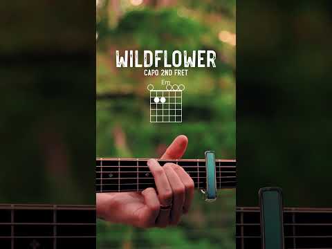 WILDFLOWER Billie Eilish Guitar Tutorial // WILDFLOWER Guitar Lesson